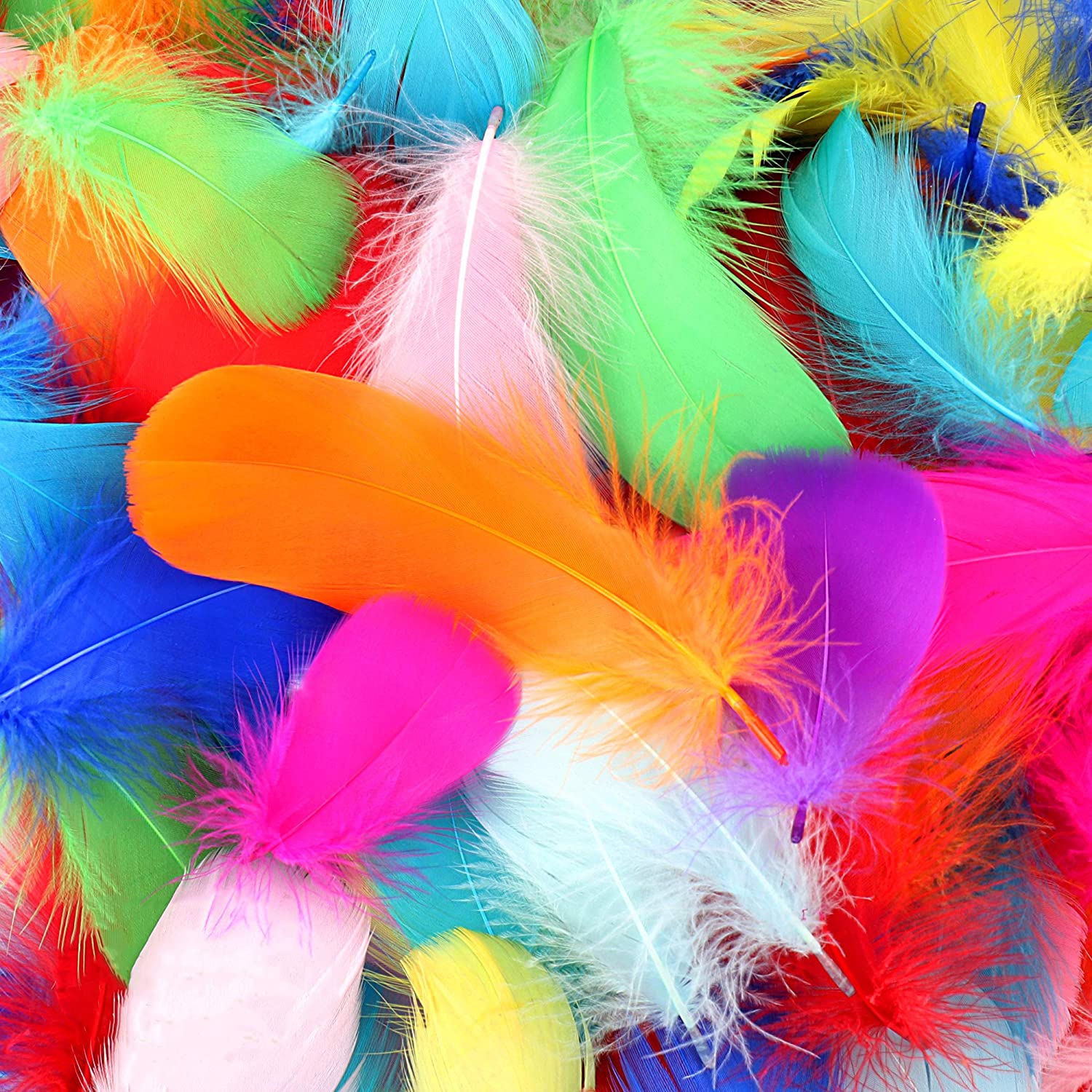 Colorful Feathers