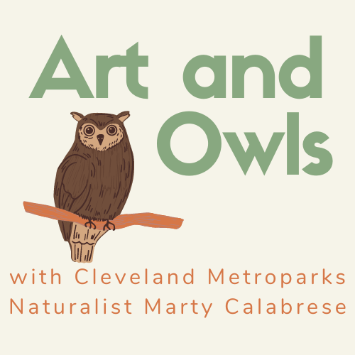 art and owls with cleveland metroparks naturalist marty calabrese